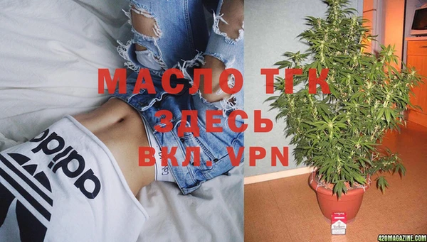 спиды Елизово