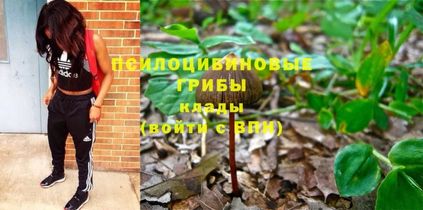 прущая мука Ельня