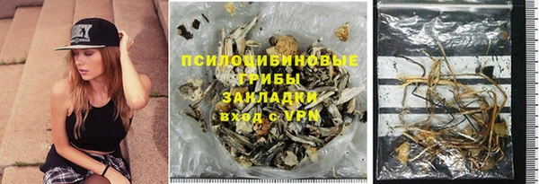 спиды Елизово