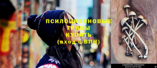 прущая мука Ельня