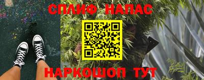 сатива Балаково