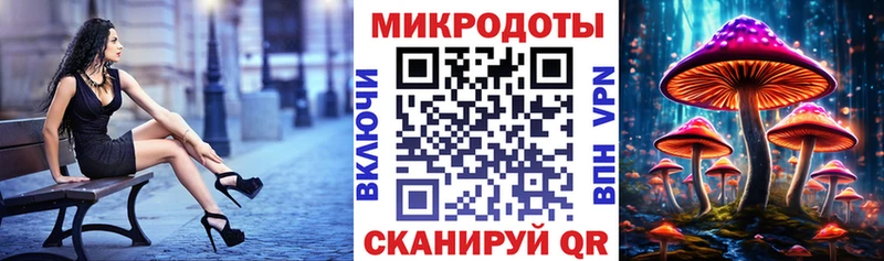 Галлюциногенные грибы Psilocybine cubensis  Волжский 