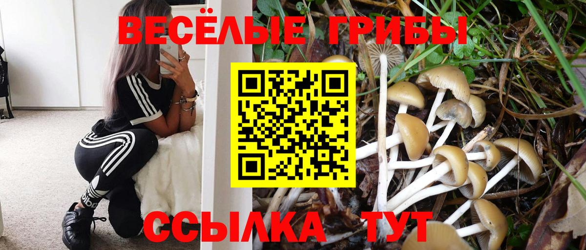Волжский  Псилоцибиновые грибы мицелий  Вход с VPN 