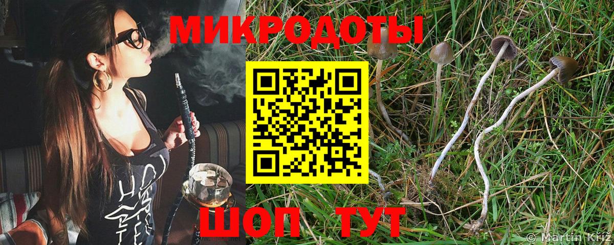 Псилоцибиновые грибы Psilocybe Волжский