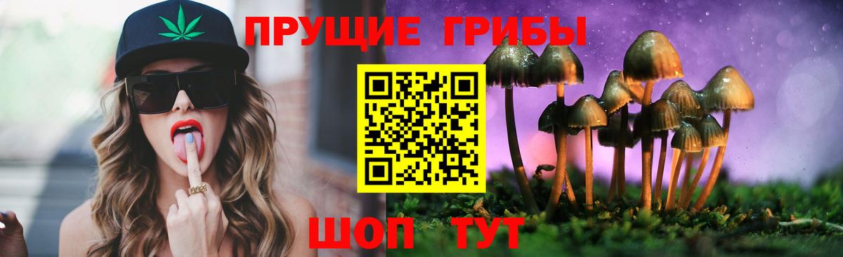 Псилоцибиновые грибы ЛСД  Волжский  Галлюциногенные грибы Psilocybine cubensis 