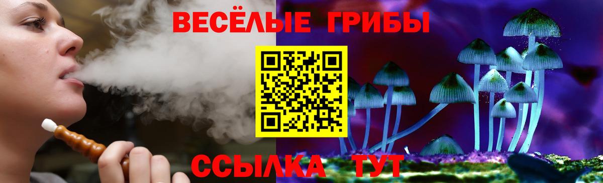 Псилоцибиновые грибы Psilocybe Волжский